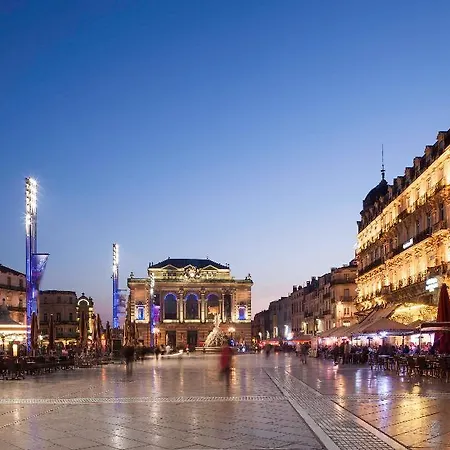 Ibis Budget Nord Euromedecine Hotel